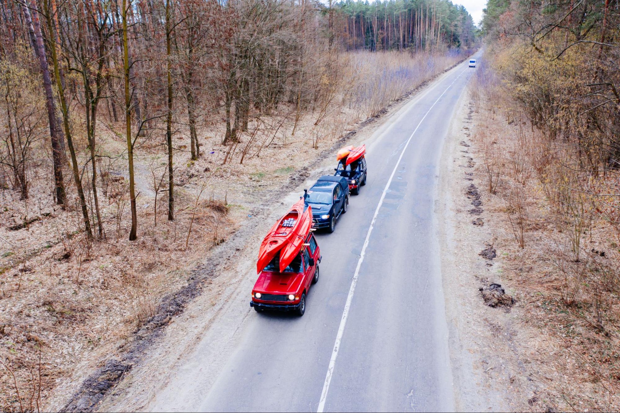 cars driving on the road among trees